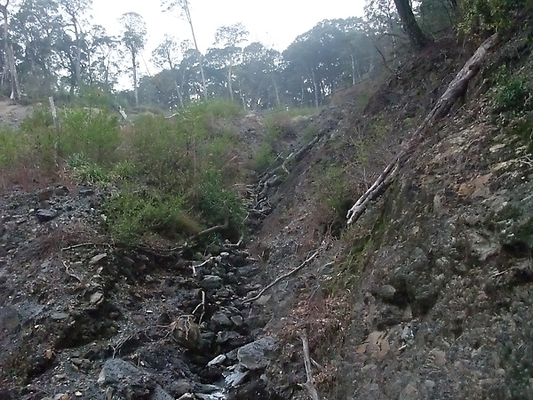 DSCF3173.JPG