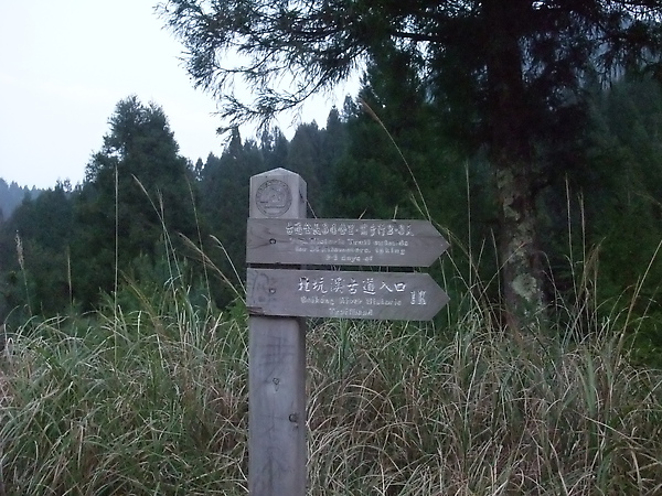 DSCF3178.JPG