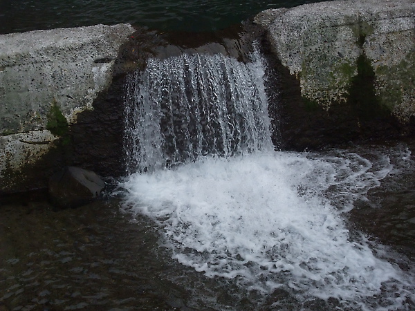 DSCF3193.JPG