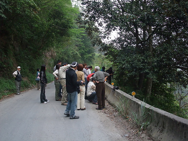 DSCF3196.JPG