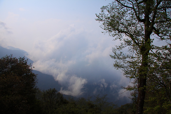 IMG_7443.JPG