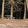 IMG_7830.JPG