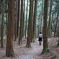 IMG_7833.JPG