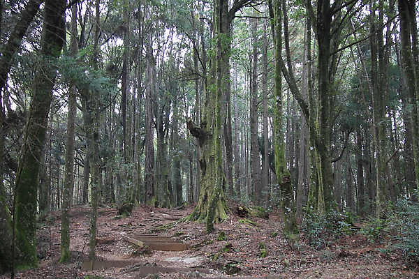 IMG_7837.JPG