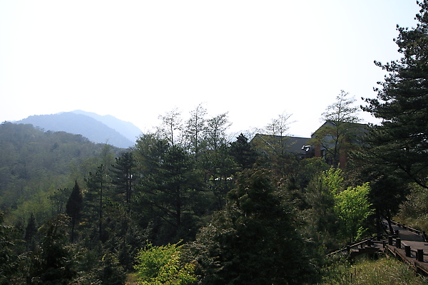 IMG_8268.JPG
