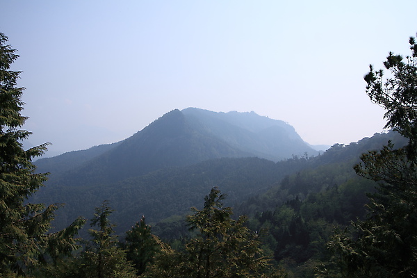 IMG_8271.JPG