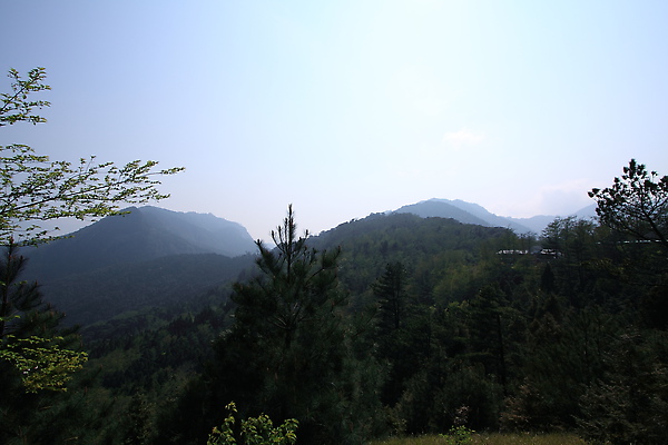 IMG_8273.JPG