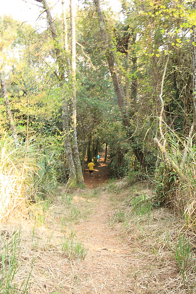 IMG_8314.JPG