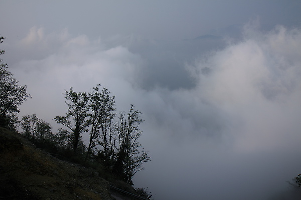 IMG_8333.JPG