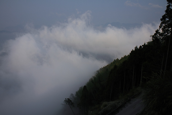 IMG_8334.JPG