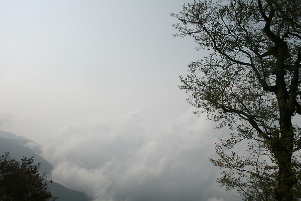 IMG_2684.JPG