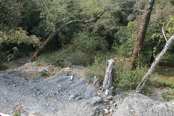 IMG_2682.JPG