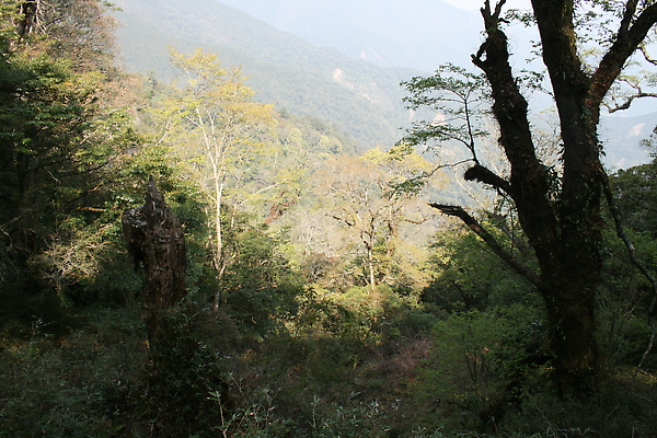 IMG_2834.JPG