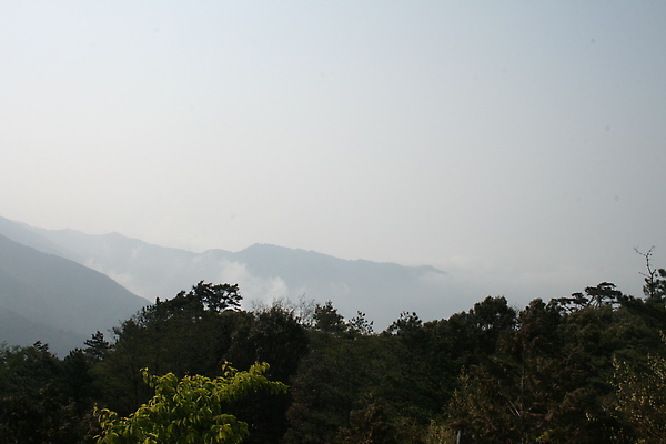 IMG_2970.JPG