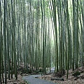 IMG_3205.JPG