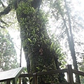 IMG_3210.JPG