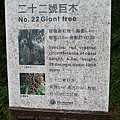 IMG_3233.JPG