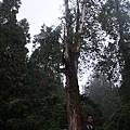 IMG_3241.JPG