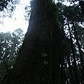 IMG_3244.JPG