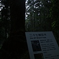 IMG_3252.JPG