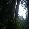 IMG_3255.JPG