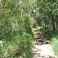P1010636.JPG