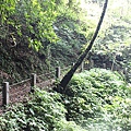 IMG_0074.JPG