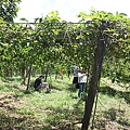 IMG_0028.JPG