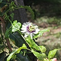 IMG_0030.JPG