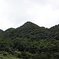 IMG_0050.JPG