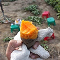 IMG_0193.JPG