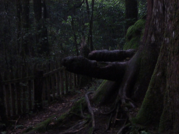 P1010187.JPG