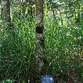 IMG_0039.JPG