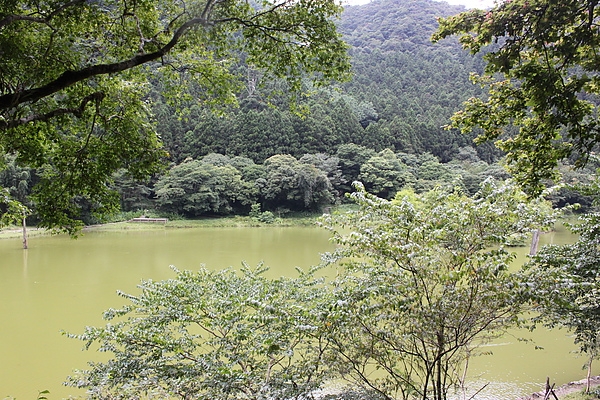 IMG_0090.JPG