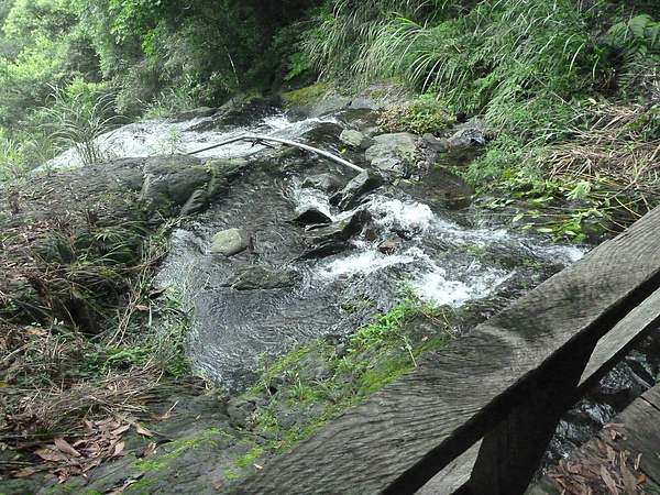 P1010163.JPG