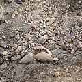 IMG_0184.JPG