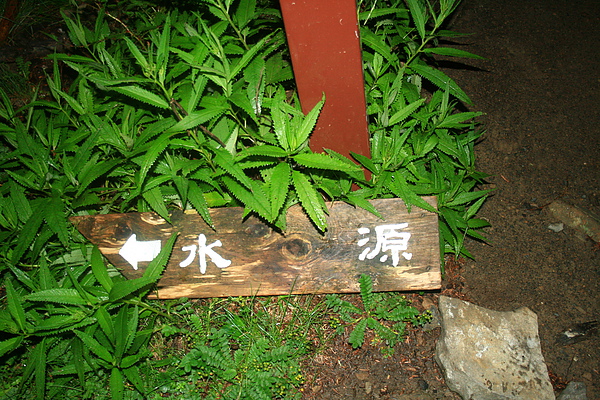 IMG_0215.JPG
