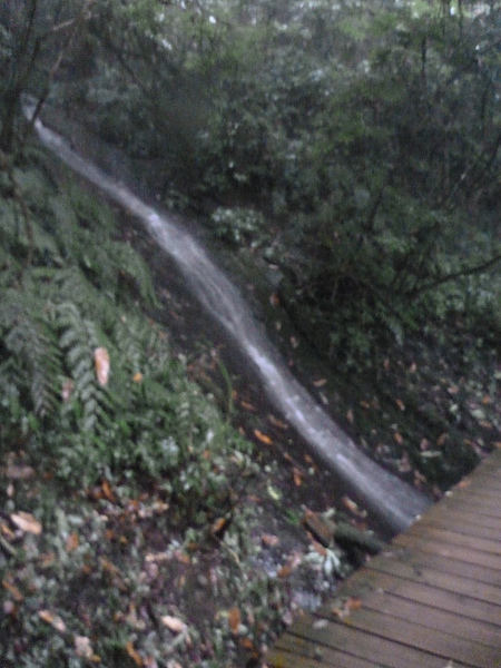 P1010202.JPG