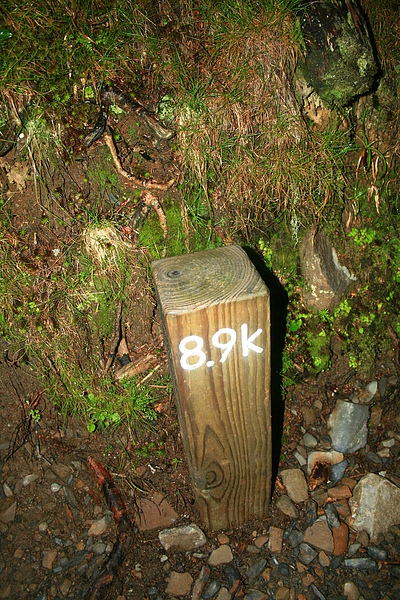 IMG_0211.JPG
