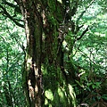 IMG_0063.JPG