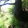 IMG_0059.JPG