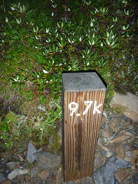 P1010728.JPG