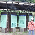 IMG_0061.JPG