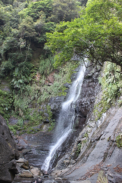 IMG_0135.JPG