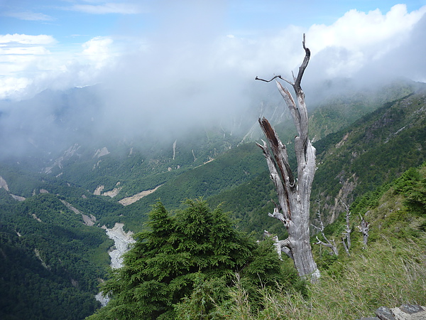 P1010537.JPG