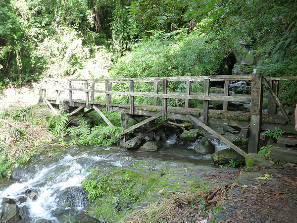 P1010250.JPG