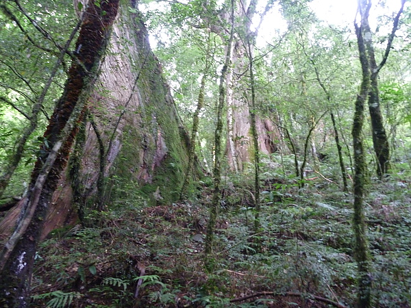 P1010272.JPG