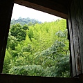 IMG_0012.JPG