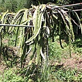 IMG_0024.JPG