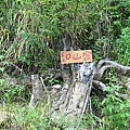 IMG_0036.JPG